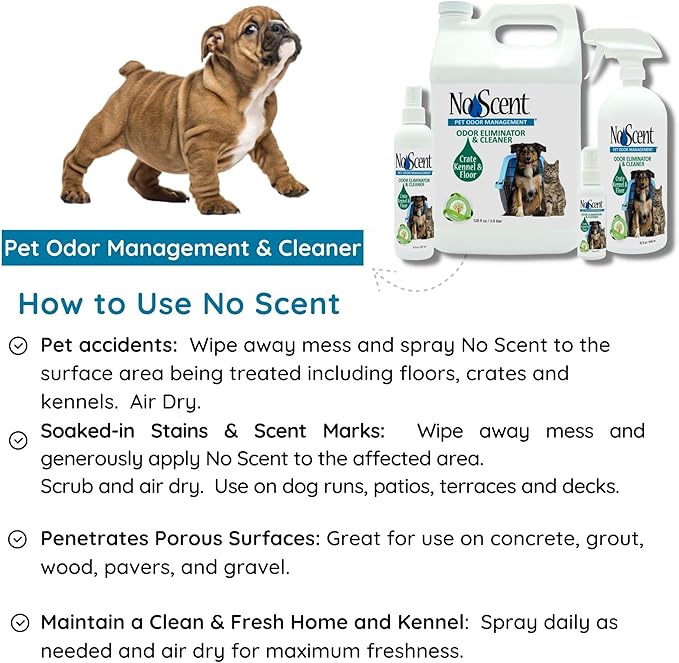 No Scent Crate Kennel & Floor Probiotic Cleaner Spray for Dog Cat Pet Odor Stains (8 Fl Oz / 237 mL)