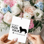 Mancheng-zi Funny Dog Car Air Freshener 3Pcs, Jack Russell Golden Retriever Beagle Lover Mom Gifts Air Freshener Hanging for Cars Closet Drawer or Books, Cute Car Accessories Mirror Decor for Women