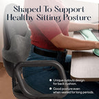 SUTERA Low Back Pillow - Proper Posture Lumbar Support Pillow for Office Chair or Car Seat for Back Support, Superior Memory Foam Cushion for Back Pain Relief from Sitting (18.3x11.3x6.9 inches)