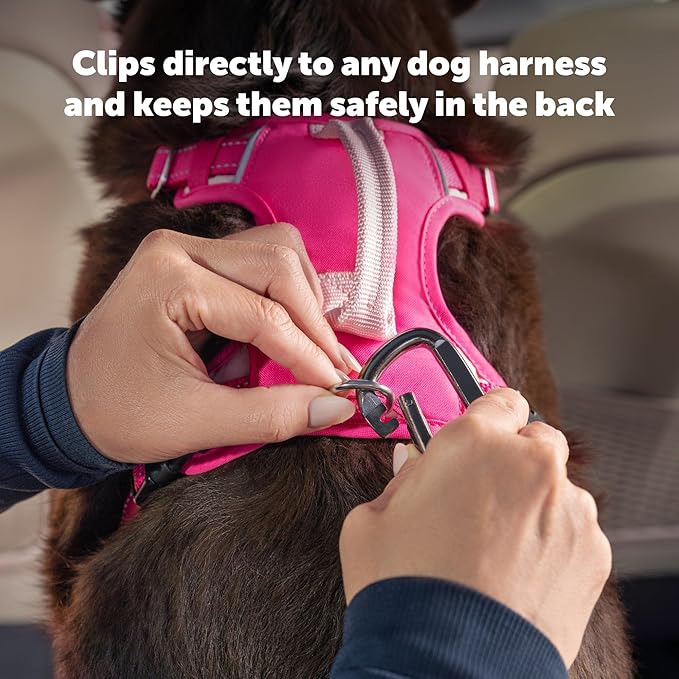 PetSafe Safety Seatbelt Tether – Adjustable Dog Seat Belt for Car – Works with Any Harness – Carabiner Clip, Black – 1 Seat Belt Tether