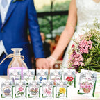 Demissle 50 Sets Flowers Car Air Freshener Wedding Party Souvenirs Favors for Guests Envelope with Window Thank You Tag for Bridal Baby Shower Favor Bulk Auto Drawer Closet Office Home