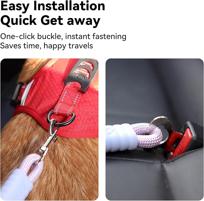 2-in-1 Dog Car Seatbelt Leash & Walking Lead - Heavy Duty 70CM Nylon Rope Leash with Secure Vehicle Buckle for Small Medium Large Dogs, for Travel, Walking, Training