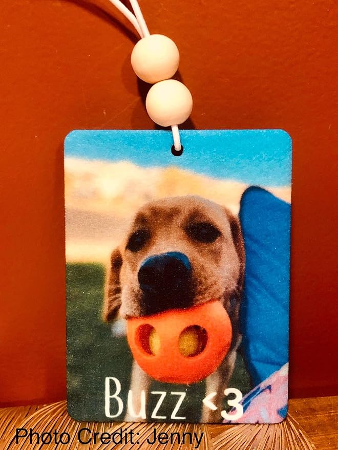 Beaded Custom Car Air Fresheners Real Photos | Double Sided | Gifts Under 10