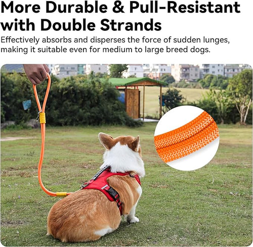 2-in-1 Dog Car Seatbelt Leash & Walking Lead - Heavy Duty 70CM Nylon Rope Leash with Secure Vehicle Buckle for Small Medium Large Dogs, for Travel, Walking, Training