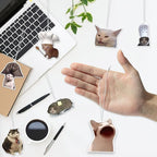Funny Meme Cat Car Air Freshener - 16Pcs Cute Cat Freshener Hanging Ornaments for Women Men, Double Sided Printing Long-Lasting Scent Fragrant Pendant Gift for Car Accessories Decoration Home