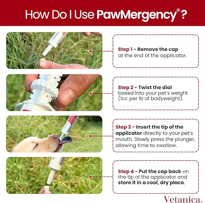 PawMergency – Activated Charcoal First Aid Kit Emergency Rescue 4 Pack for Dogs, Cats, Puppy & Pet Poison Kit, Camping Survival Remedy Essential, Oral Anti Diarrhea Digestive Absorb Toxins (4 pack)