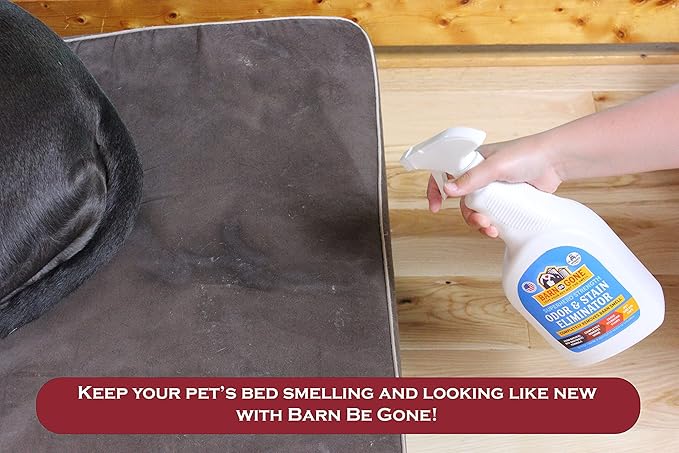 Superhero Strength Stain & Pet Odor Eliminator | Enzyme Carpet Cleaner Spray for Pets | Pet Stain Remover for Dog and Cat Urine Destroyer | Small Pet and Puppy Supplies | Pee Deodorizer