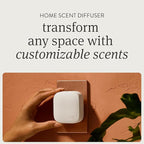 Drift Home Scent Diffuser Starter Kit in Wild Lavender - Adjustable and Long Lasting Diffuser Aroma - Clean Ingredients, Pet Safe