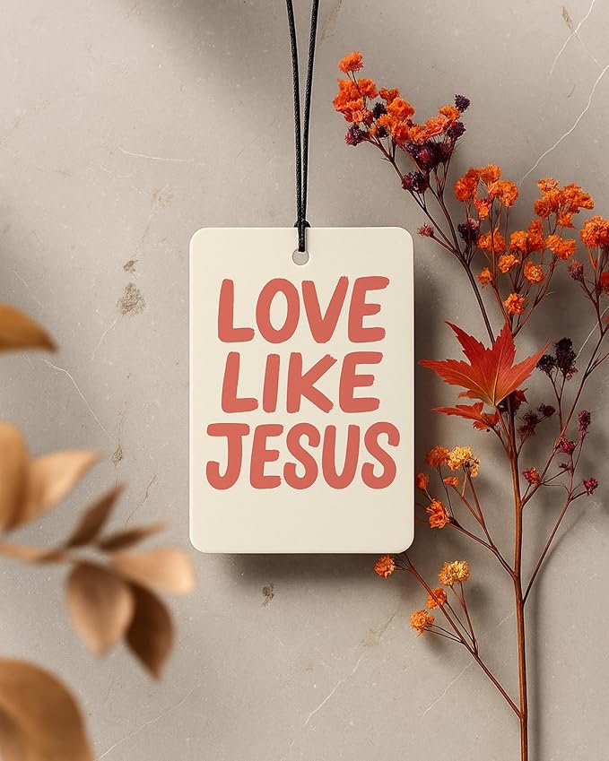 Funny Jesus Christian Car Air Freshener 4 Pcs Coconut Scented, Religious Faith Car Accessories Mirror Decor for Women, I Saw That Jesus Hanging Air Freshener for Cars Closet Drawer Books