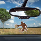 Frienda 5 Pieces Funny Car Fresheners for Men Hanging Truck Air Fresheners Car Accessories Ideal Gift for Birthday, father's day Christmas Stocking Stuffers