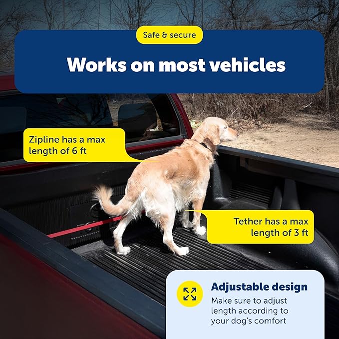 PetSafe Happy Ride Dog Zipline - Secure Backseat Mobility Dog Travel Restraint - Decreases Driver Distraction - Adjustable Strap & Quick-Release Tether Clips - Tool-Free Installation