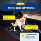 PetSafe Happy Ride Dog Zipline - Secure Backseat Mobility Dog Travel Restraint - Decreases Driver Distraction - Adjustable Strap & Quick-Release Tether Clips - Tool-Free Installation