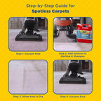 Zep Premium Carpet Shampoo - 2.5 Gal (Case of 2) - ZUPXC320 - Deep Cleaning and Stain Removal, For Carpet Machines