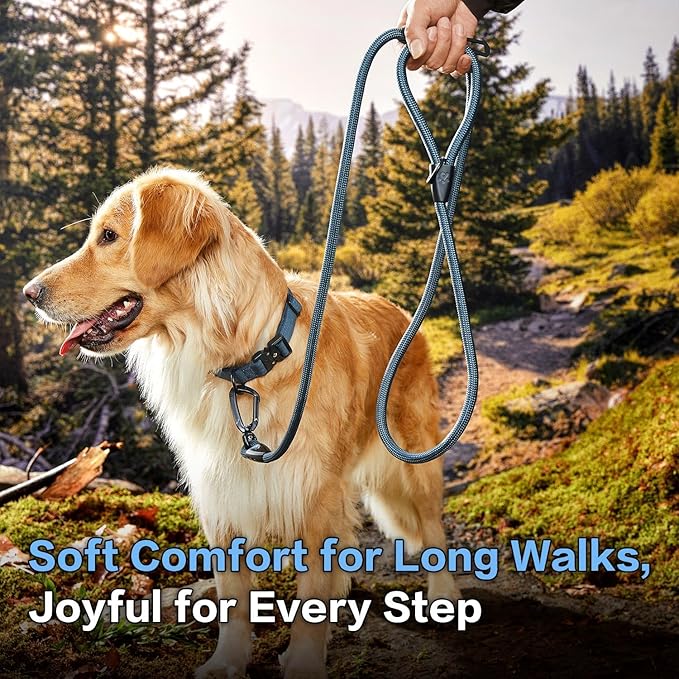 PawsPassion Rope Dog Leash 6 FT, 2-in-1 Heavy Duty Dog Leash with Seat Belt Buckle, Tangle Free 360ｰ Swivel Aviation Aluminum Carabiner, All Metal Hardware, Alloy O-Ring (Nightfall)