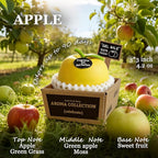 Banami Yellow Apple Air Freshener Gel, Decorative Odor Eliminator for Home, Car, RV, Bathroom, Pet Areas (Apple)