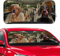 Dachshund Dog Windshield Sunshade for Car SUV Truck Foldable Uv Ray Reflector Front Window Sun Shade Visor Shield Cover -59" X 31"