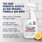 Rocco & Roxie Extreme Stain & Odor Eliminator for Strong Odor, Pet Urine Enzyme Cleaner Destroyer, Stain Remover, Dog Poop and Cat Pee, Enzymatic Carpet Cleaner Spray for Home, Puppy Potty Training
