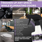 Blaze Away Commercial Air Freshener & Odor Eliminator for Strong Odor - Industrial-Grade Room Spray & Room Deodorizer for Home, Car, Smoke & Pet Odors - Long-Lasting Odor Absorber, Room Fresheners