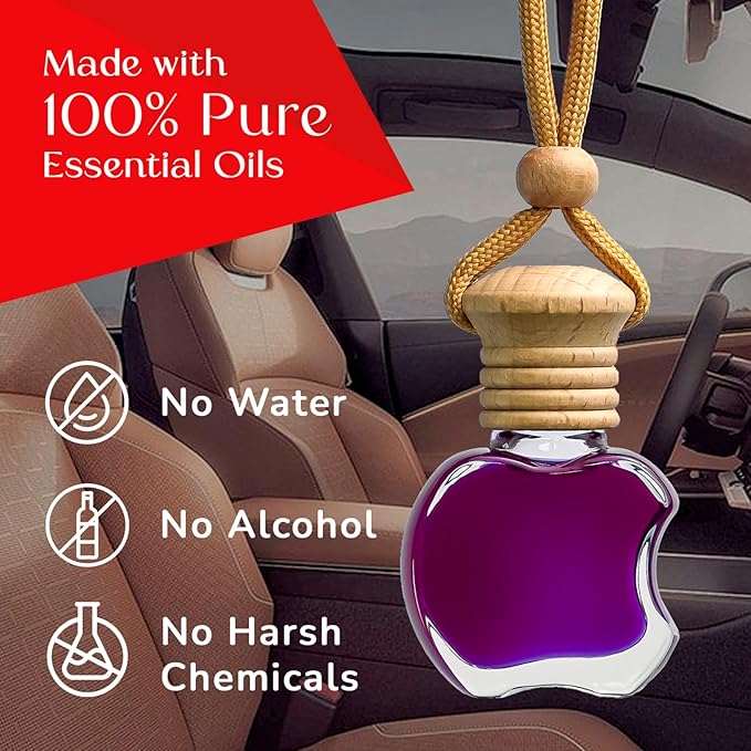 Kabod Blueberries Car Air Freshener | Hanging Essential Oil Diffuser | Natural Odor Eliminator | Long-Lasting Fragrance | 10 ml