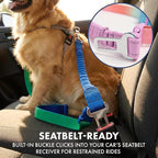 Spark Paws Handsfree Dog Leash – Shock Absorbing Waist Bungee Lead for Running, Car Seatbelt Clip & Poop Bag Set, Heavy Duty Tactical Lead for Medium, Large & X-Large Breeds - Pastel Icing