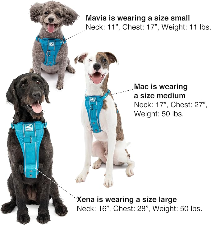 Kurgo Tru-Fit Smart Dog Walking Harness - Comfortable Fit - Adjustable Harness - Reflective Pet Wear - Quick Strap Release - Daily Walk Accessory - Includes Seat Belt Loop - Blue - Small