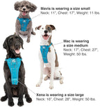 Kurgo Tru-Fit Smart Dog Walking Harness - Comfortable Fit - Adjustable Harness - Reflective Pet Wear - Quick Strap Release - Daily Walk Accessory - Includes Seat Belt Loop - Black - X-Small