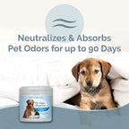 SMELLS BEGONE 15oz Gel Pet Odor Eliminator - Absorb & Remove Strong Odors from Pets, Cat Litter, Dog Poop, Urine Smells - Eliminate Whole Home Odors with Essential Oils (2-Pack, Pet Soothing Breeze)