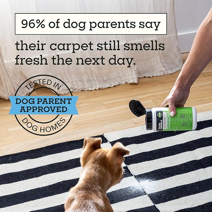 Pet Life Unlimited Carpet Deodorizer Powder, 16 oz, Strong Pet Odor Eliminator & Carpet Freshener, Plant-Based Juniper Leaf Scent, Pet Safe (Pack of 1)