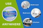 Delta Nature's Air Sponge Odor Absorber Unscented Plastic Tub 1/2 Lb.