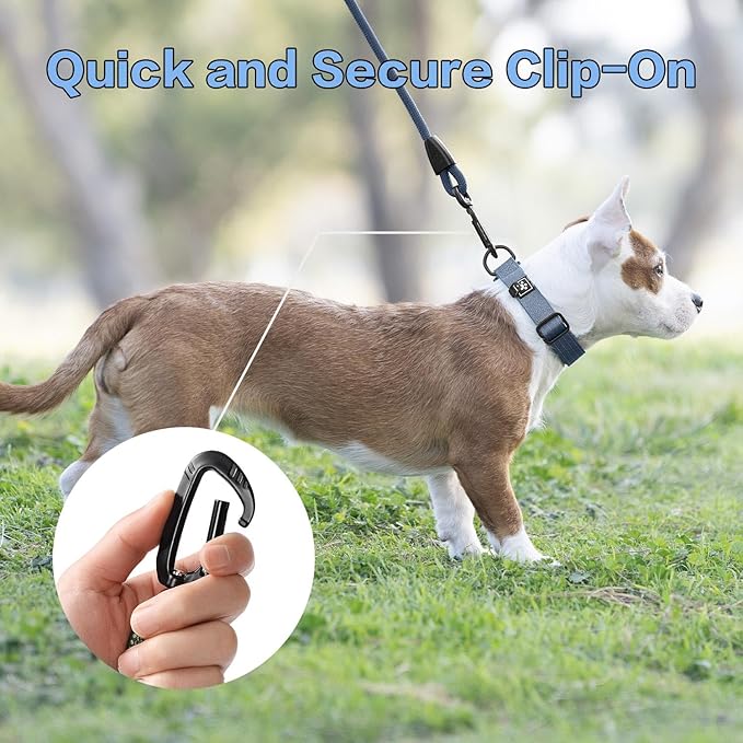 PawsPassion Rope Dog Leash 6 FT, 2-in-1 Heavy Duty Dog Leash with Seat Belt Buckle, Tangle Free 360ｰ Swivel Aviation Aluminum Carabiner, All Metal Hardware, Alloy O-Ring (Nightfall)
