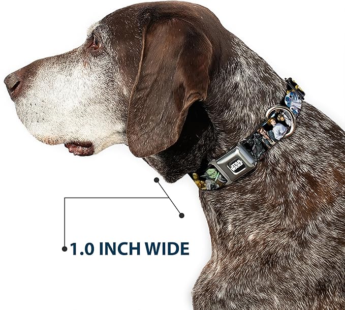 Star Wars Pet Collar, Dog Collar Metal Seatbelt Buckle, Star Wars Classic Character Poses Black, 15 to 24 Inches 1.0 Inch Wide