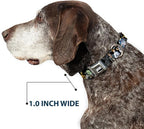 Star Wars Pet Collar, Dog Collar Metal Seatbelt Buckle, Star Wars Classic Character Poses Black, 16 to 23 Inches 1.5 Inch Wide