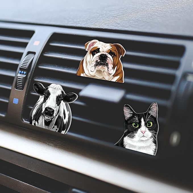 WIRESTER Fresh Scented Car Air Freshener Vent Clip, Decorative Accessories, Interior Decoration for Cars