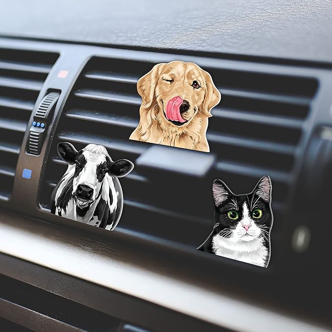 WIRESTER Fresh Scented Car Air Freshener Vent Clip, Decorative Accessories, Interior Decoration for Cars