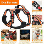 No Pull Dog Harness, Collar & Leash Set | Includes Dog Seat Belt, Collapsible Bowls & Poop Bag Dispenser. Ideal for Training, Walking, Hiking. Fits Small to Large Dogs(Orange-M)