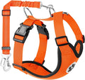 Lukovee Dog Seat Belt for Car, Adjustable Dog Car Harness for Large Medium Small Dogs, Soft Padded & Breathable Mesh Dog Seatbelt with Car Strap and Carabiner (Orange,M)