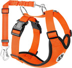 Lukovee Dog Seat Belt for Car, Adjustable Dog Car Harness for Large Medium Small Dogs, Soft Padded & Breathable Mesh Dog Seatbelt with Car Strap and Carabiner (Orange,XXS)