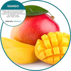 Fresh Products Eco Bowl Clip 2.0 Toilet Bowl Air Freshener, Mango Scent, 6 Clips