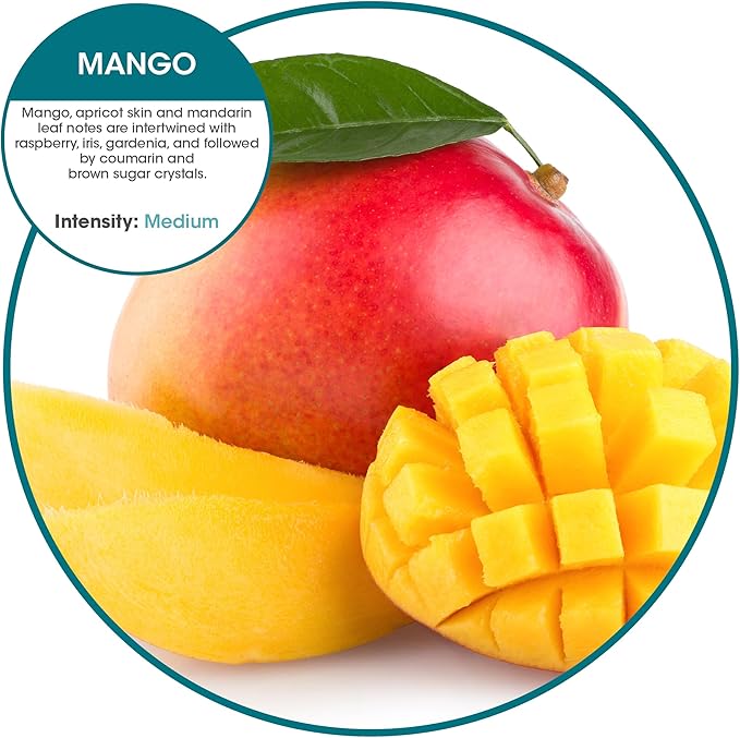 Fresh Products Eco Bowl Clip 2.0 Toilet Bowl Air Freshener, Mango Scent, 4 Clips