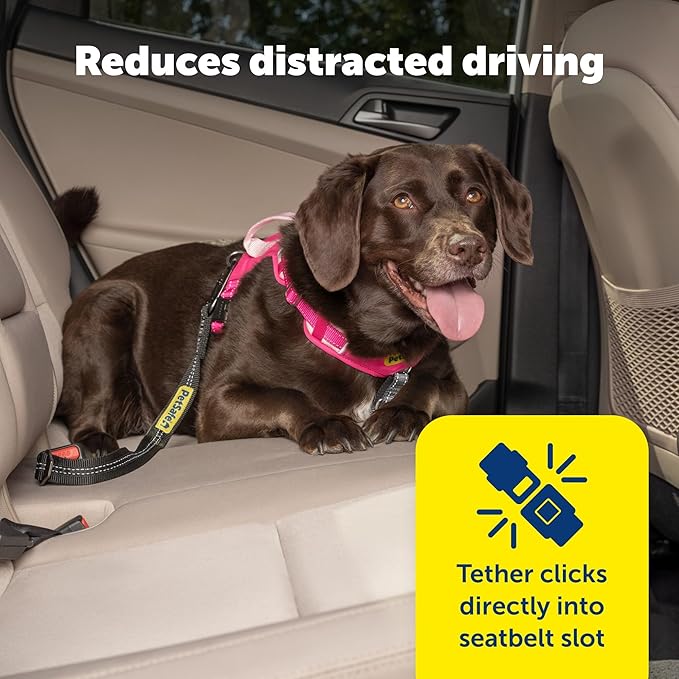 PetSafe Safety Seatbelt Tether – Adjustable Dog Seat Belt for Car – Works with Any Harness – Carabiner Clip, Black – 1 Seat Belt Tether