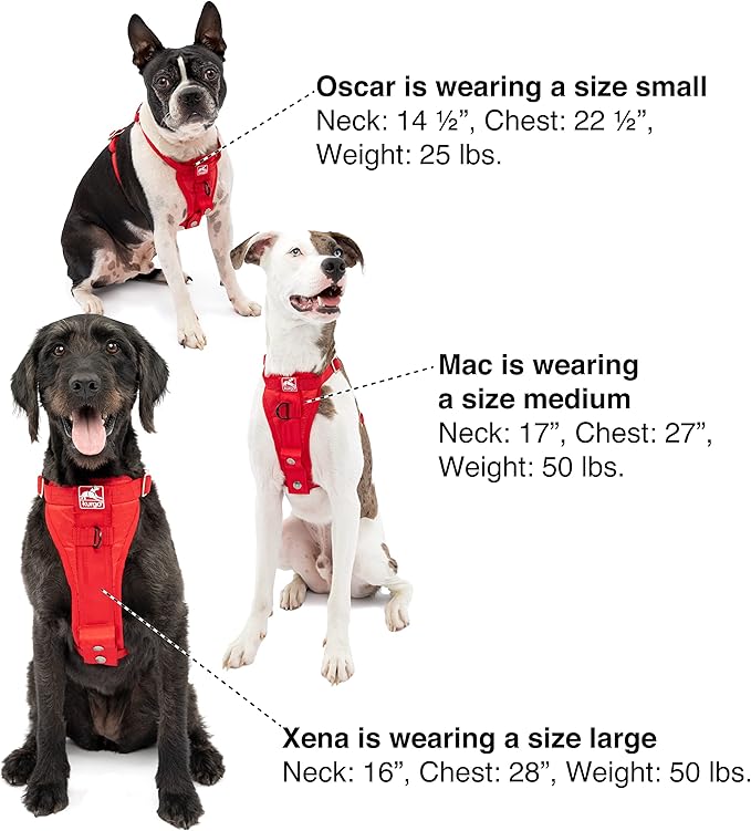 Kurgo Enhanced Strength Tru-Fit Dog Car Harness - Pet Travel Safety Harness - Crash Test Certified Fit - Five Point Adjustment - Secure Buckle - Padded Chest - Ink Blue - X-Small