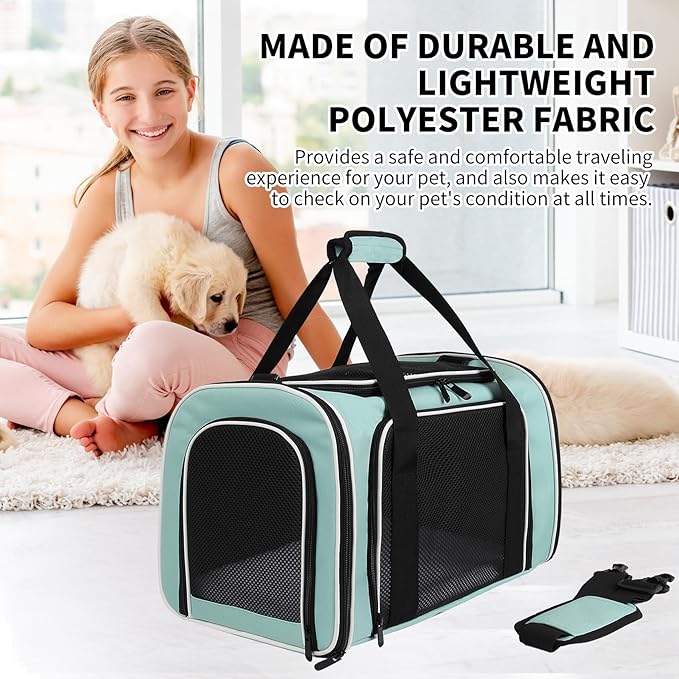 Cat Dog Carriers Soft-Sided, Pet Travel Carrier for Small Cats Dogs Under to15lbs, Soft-Solid Collapsible Carrier,(Medium,Green)