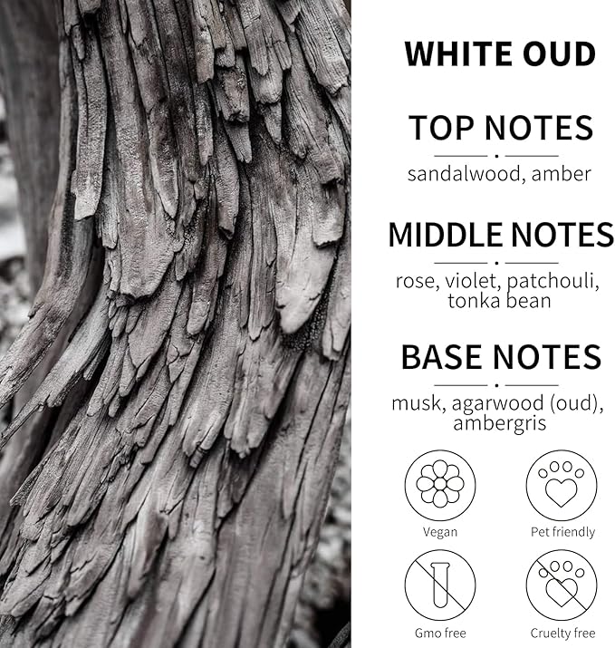 2-Pack Car Fresheners Long Lasting & Car Deodorizer - White Oud Hanging Car Air Freshener for Men and Women, Car Necessities & Scent Diffuser by VUTOLLOSA