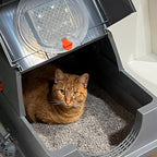 12 * 43g Larger Bag Activated Charcoal Odor Absorber Bags for Stainless Steel Litter Box with Lid, Natural Coconut shell Charcoal Bags, Absorb Odors/Control Damp from Pets/Keep Home Fresh