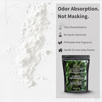 Lapew Eucalyptus Mint Carpet Deodorizer Powder - Pet Safe Freshener for Vacuuming | Scented Odor Eliminator for Home | 36 oz