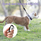 PawsPassion Rope Dog Leash 4 FT, 2-in-1 Heavy Duty Dog Leash with Seat Belt Buckle, Tangle Free 360ｰ Swivel Aviation Aluminum Carabiner, All Metal Hardware, Alloy O-Ring (Lilac Breeze)