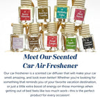 CANDECraftCo Car Air Hanging Fragrance Oil, Car Auto Freshener for Essential Oils, Scents Fragrance Aromatherapy Automobile Diffuser, Long Lasting (Cactus Bloom + Lavender Vanilla)