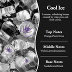 Hanging Car Air Fresheners, 2 Pack Long Lasting Automotive air fresheners up to 30-45 Days, Non Toxic Natural Fragrance Car Diffuser Freshener for Cars, Home,Office- Cool Ice
