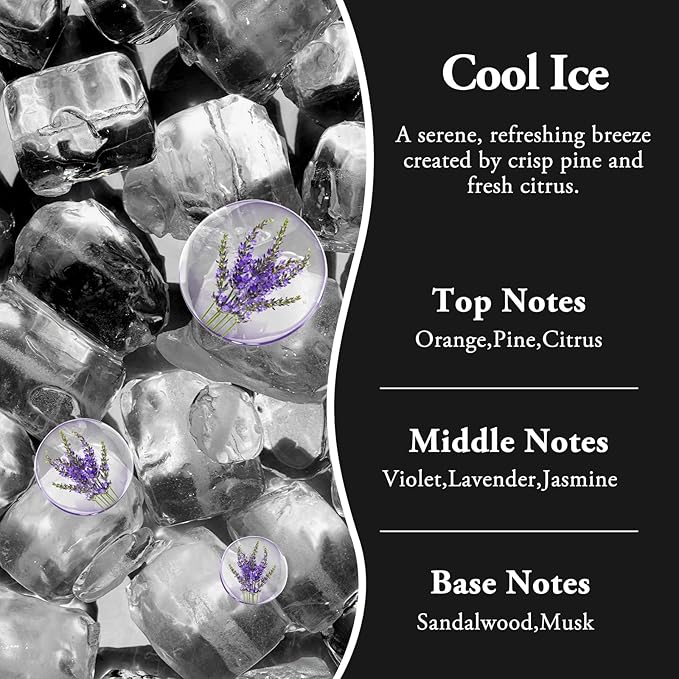 Hanging Car Air Fresheners, 2 Pack Long Lasting Automotive air fresheners up to 30-45 Days, Non Toxic Natural Fragrance Car Diffuser Freshener for Cars, Home,Office- Cool Ice