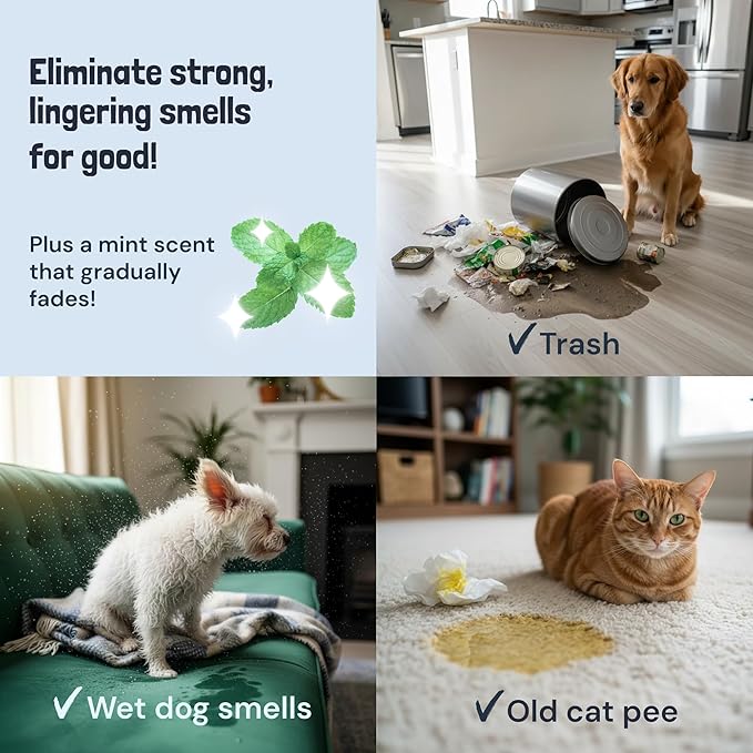 Sunny & Honey Pet Stain and Odor Remover - Enzyme Cleaner for Dog Urine and Poop on Carpets and Furniture - Strong Pet Carpet Cleaner Spray (1 Gallon Mint)
